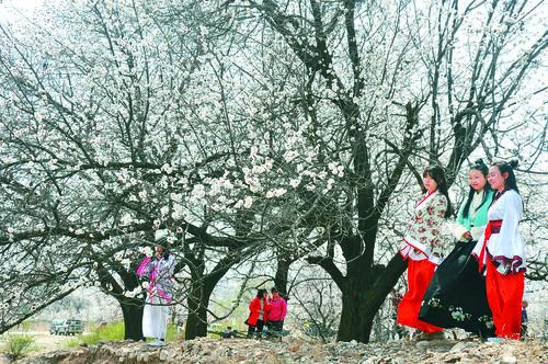 太阳集团tyc4633 - 光伏电站与清洁能源